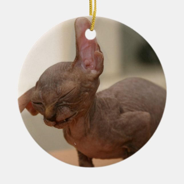 Lustiges niesendes sphynx Kätzchen Keramikornament (Vorne)