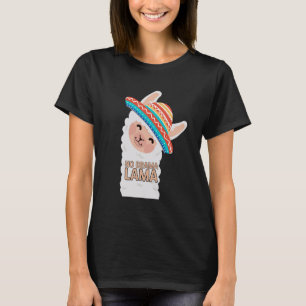 Lustiges No-Drama-Lama-Design für Tierliebhaber T-Shirt