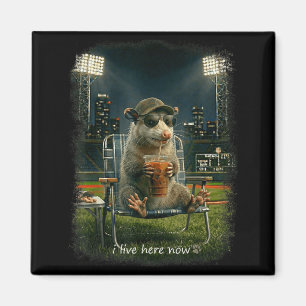 Lustiges Opossum-Ballfeld Baseballfeld lebt hier Magnet