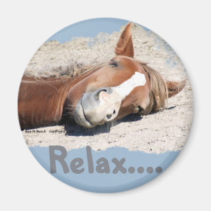 Lustiges Pferd: Entspannen Sie sich Magnet