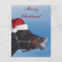 Lustiges Pony-frohe Weihnachten