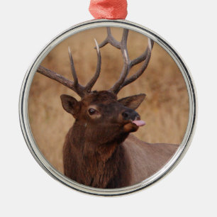 lustiges Ren Ornament Aus Metall