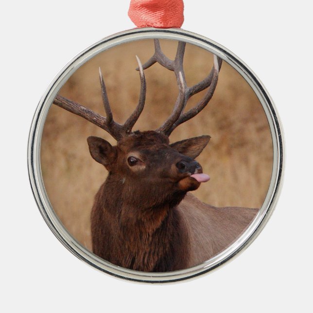 lustiges Ren Ornament Aus Metall (Vorne)
