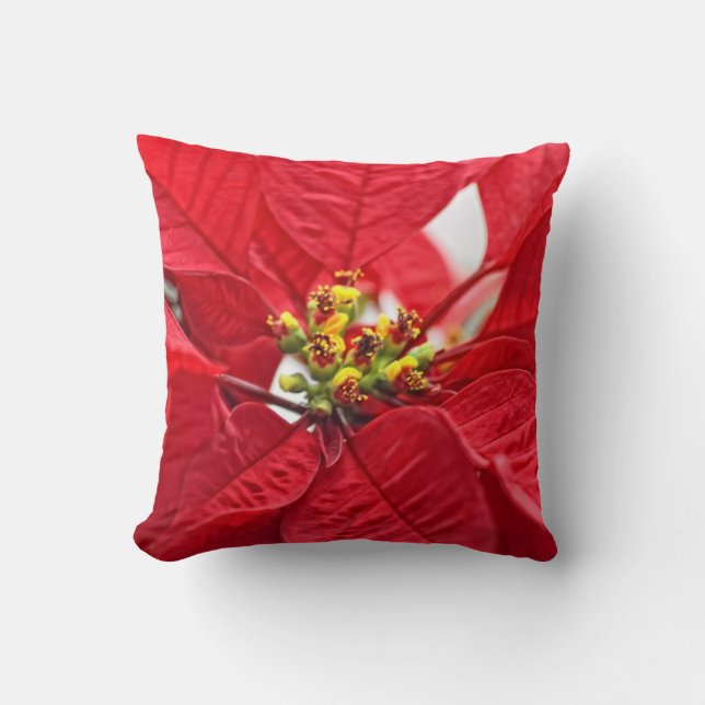 Lustiges Rot Kissen (Vorderseite)