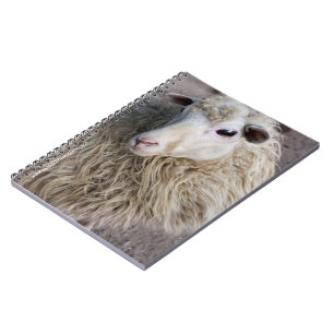 Lustiges Schaf Notizblock