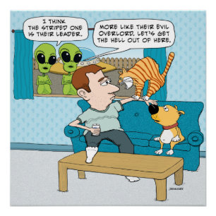 Lustiges schlechtes Katzen-Plakat Poster