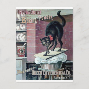 Lustiges schwarzes Katzen-Vintage-Werbeplakat für  Postkarte