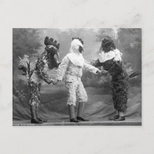 Lustiges seltsames Vintage-Foto von Hühnerkostümen Postkarte