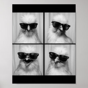 Lustiges Silkie-Huhnfoto für Hühnerliebhaber, süße Poster