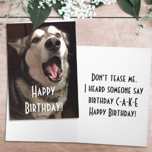 Lustiges singendes Alaskan Malamute-Hundefoto Karte