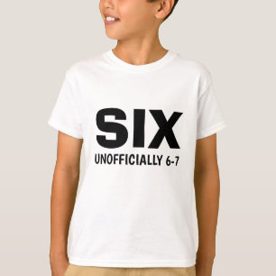 Lustiges Six Inoffiziell 6-7 Geburtstagskind T-Shirt