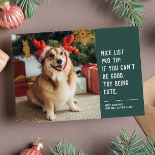 Lustiges süßes Haustier-Foto Weihnachts-Feiertags- Feiertagskarte