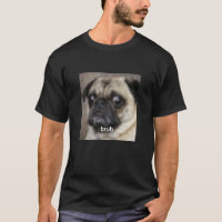 Lustiges süßes Mops-Hundegesicht verschwommenes Me