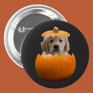 Lustiges süßes personalisiertes Halloween-Kürbis-H Button