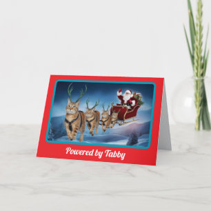 Lustiges Tabby-Rentier-Weihnachten Karte