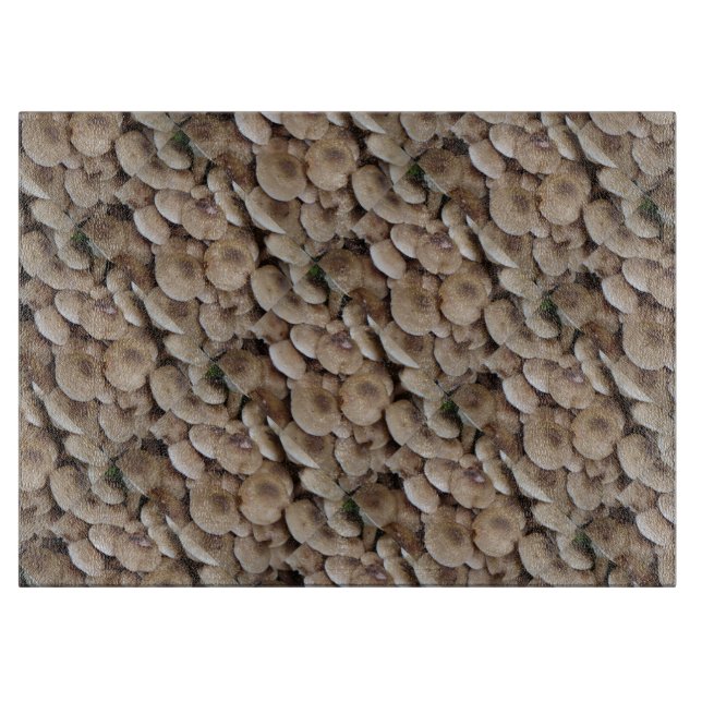 lustiges, vegulierbares Bild von frischen Knopfpil Schneidebrett (Vorderseite)