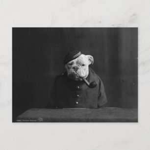 Lustiges Vintage-Foto eines Hundes in Uniform Postkarte