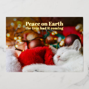 Lustiges Weihnachten Schlafende Katze Friede auf E Folien Feiertagskarte
