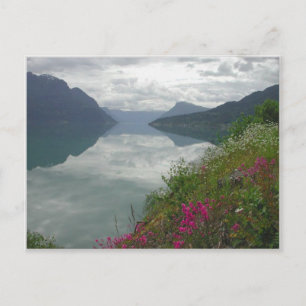 Lustrafjorden Panorama Postkarte