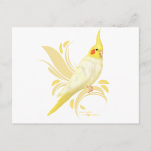 Lutino Cockatiel Postkarte