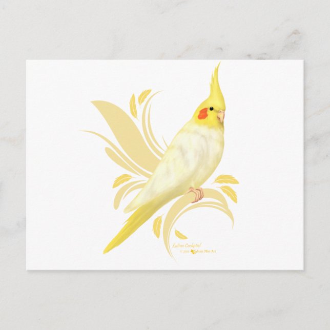 Lutino Cockatiel Postkarte (Vorderseite)