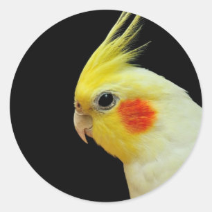 Lutino Cockatiel Runder Aufkleber