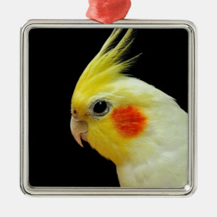 Lutino Cockatiel Silbernes Ornament