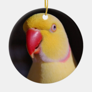 Lutino Inder Ringneck Parakeet-Schnabel Keramik Ornament