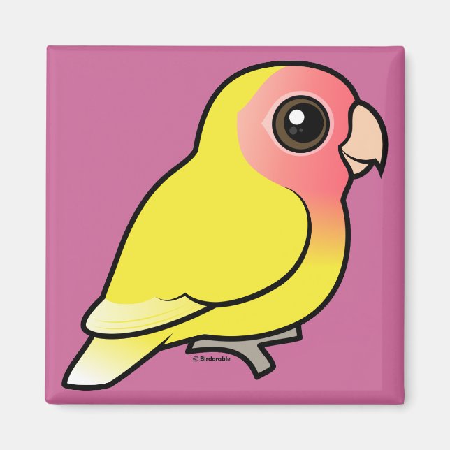 Lutino Peach-face Lovebird Magnet (Vorne)
