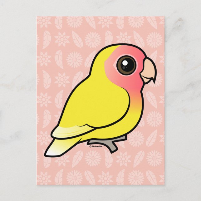 Lutino Peach-face Lovebird Postkarte (Vorderseite)