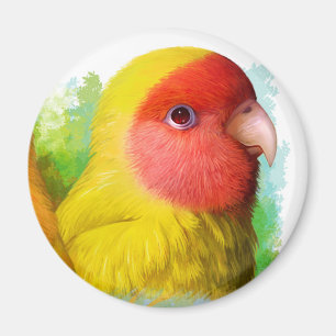 Lutino Pfirsich stellte Lovebird gegenüber Magnet