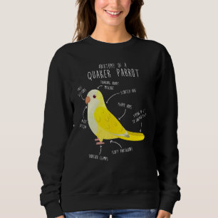 Lutino Quaker Parrot Anatomie Niedlich Papagei Bir Sweatshirt