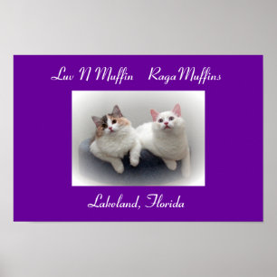 Luv N Muffin RagaMuffin Katzen & Kätzchen Poster