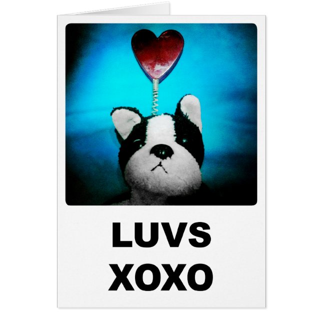 Luvs XOXO Card (Vorne)