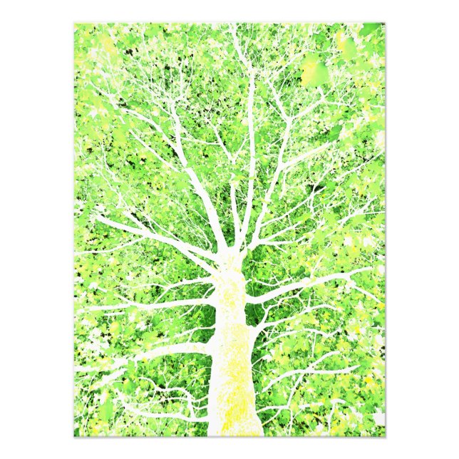 Lux Viridis Flavum 8 Fotodruck (Vorne)