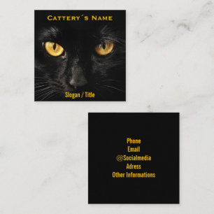 Luxuriöse minimalistische schwarze Katzen-Augen Ca Quadratische Visitenkarte