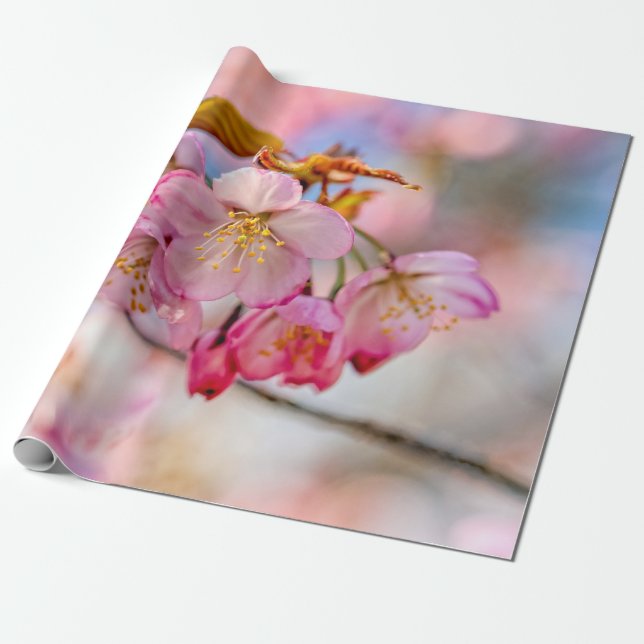 Luxuriöse Sakura Blume im Frühlingspark Geschenkpapier (Ungerollt)