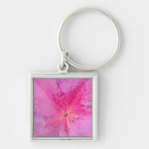 Luxuriöser Premium-Platz