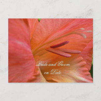 Luxus Eleganter Hibiskus Spring Rett Dattelkarte Ankündigungspostkarte