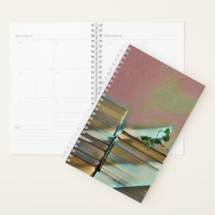 Luxusgeschenke für Buchliebhaber Planer