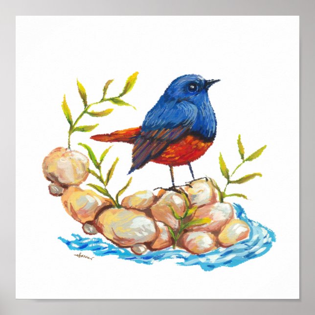 Luzon Water Redstart Endemic Philippine Bird Poster (Vorne)