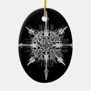 Lychnaspis miranda Ernst Haeckel Fine Art Keramikornament