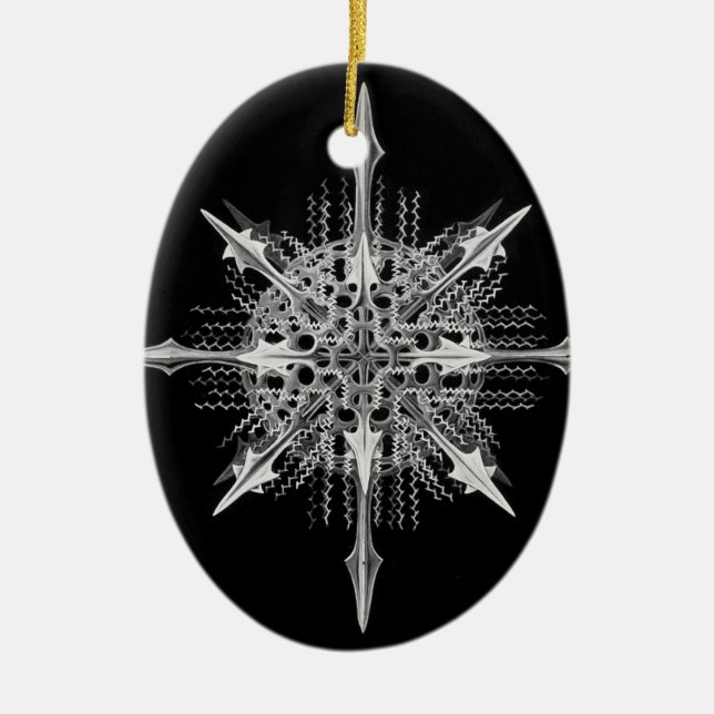 Lychnaspis miranda Ernst Haeckel Fine Art Keramikornament (Vorne)