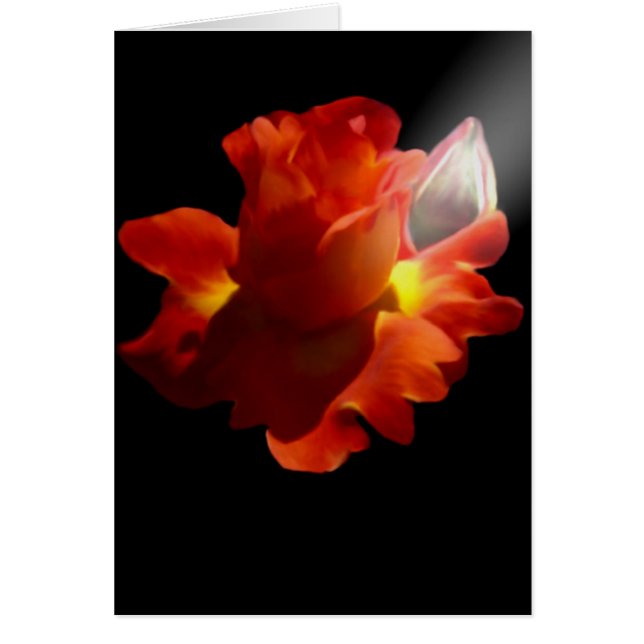 Lydia Rosen-Karte (Vorne)