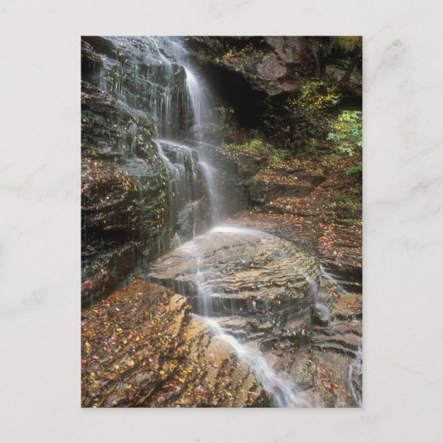 Lye Brook Falls Vermont Postkarte (Vorderseite)