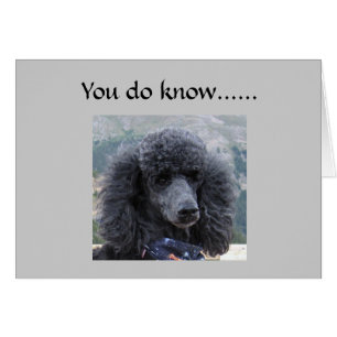 LYING IST NICHT AKZEPTABEL=40. SPASS