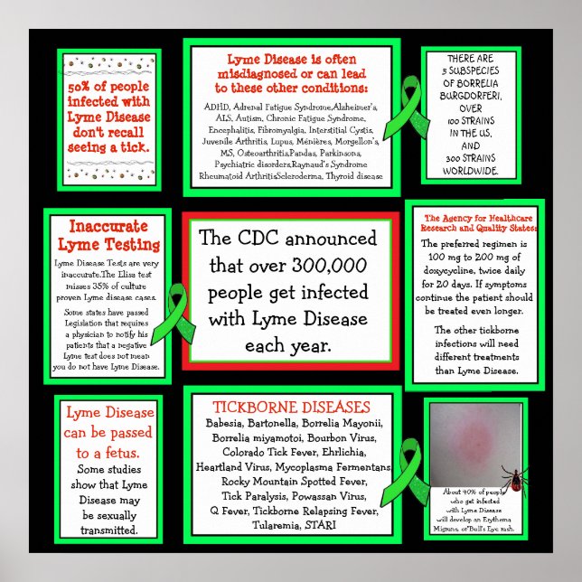 Lyme Disease Awareness Poster (Vorne)