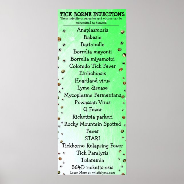 Lyme Disease Awareness Tick Poster (Vorne)