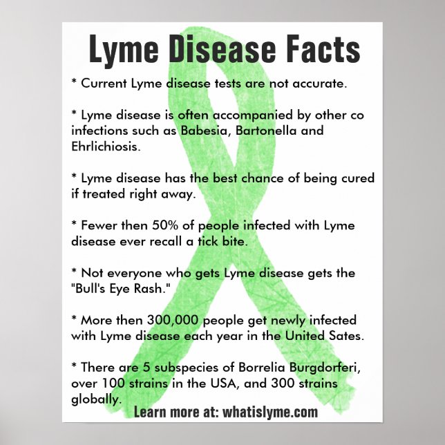 Lyme Disease Facts Educational Poster (Vorne)