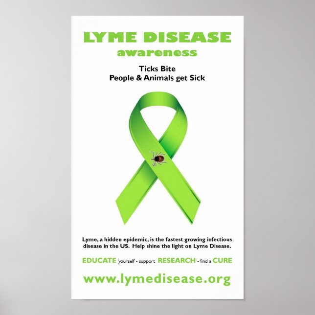 Lyme Disease Poster (Vorne)